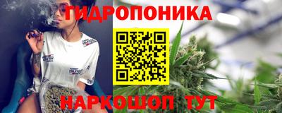 a pvp Славянск-на-Кубани