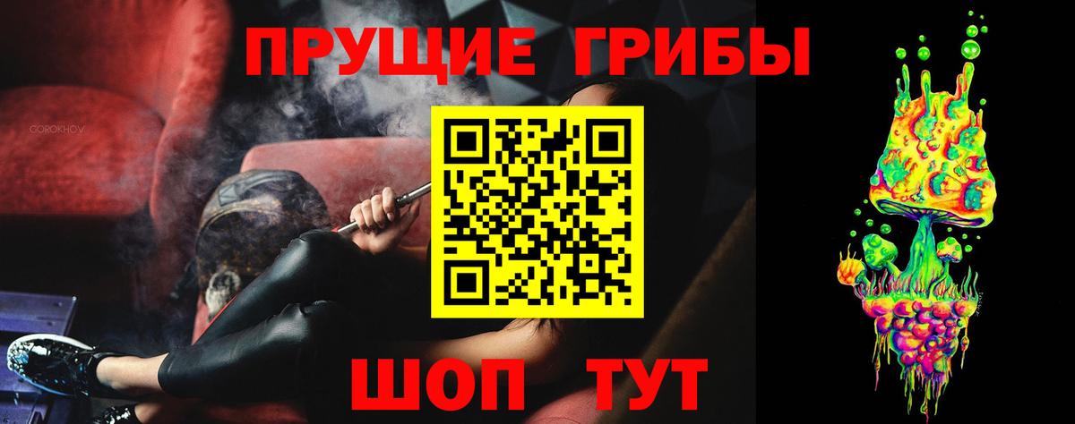 Псилоцибиновые грибы мицелий Ревда